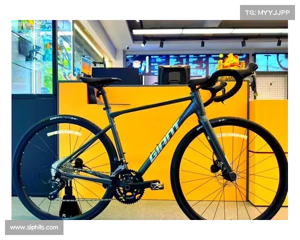 公路车赛事速度风暴骑手挑战极限征程激情较量荣耀时刻